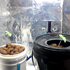pcgrow-jpg.png