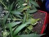 20131016_192622.jpg
