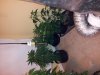 20131026_083431.jpg