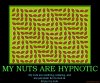 my-nuts-are-hypnotic-nuts-optical-illusion-demotivational-poster-1261537009.jpg