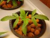 Day 22 - Mazar X Afghan #2.jpg