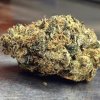 cherry-pie-marijuana-strain-1.jpg