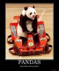 pandas-demotivational-poster-1211066260.jpg