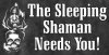 The sleeping Shaman.jpg