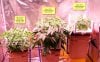 x-man-487357-albums-waterfarm-grow-2-picture2919265-group-shot.jpg