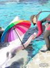 umbrella whale.jpg