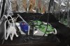 DSC_0078.jpg