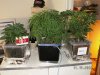 Indoor fall 2008 034.jpg