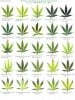 mmj nutrient deficiency comparison chart.jpg