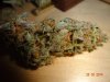 guitarisgr8-250038-albums-greenhouse-chemdawg-picture3005806-dsc00555.jpg