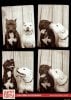 o-PHOTO-BOOTH-DOGS-570.jpg