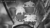 Vegcab-IR-Shot1-Day29.jpg