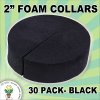 foamcollar.jpg