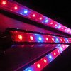 PC Grow Box LED Plant Grow Light thumbnail.jpg