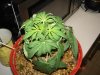 DSC01777.jpg