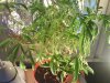 DSC00116.jpg