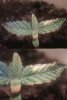 1'st problem - SX2 - new pot.JPG