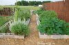 cinder block planter.jpg