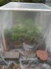 Greenhouse.jpg