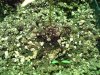 DSC05304.jpg