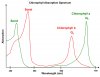 OOS-Chlorophyll-absorption.jpg