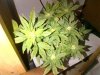 IMG-20140703-WA000.jpg