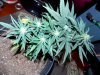 DSCN0790.JPG