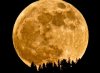 n-SUPERMOON-large.jpg