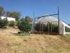 greenhouse 8-9-2014 050.JPG