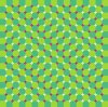 PAY-Professor-Akiyoshi-Kitaokas-optical-illusion (1).jpg