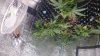 tmp_30628-20140818214234_noexif-2054167269.jpg