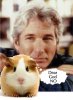 richard_gere_gerbil[1].jpg