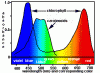 sensitivity curve.gif