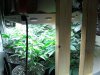 481801301-Grow_5_Veg_03.jpg