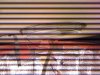 jans addiction 002.jpg