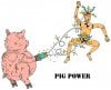 PigPower.jpg