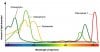 Chlorophyll-f-spectrum.jpg