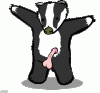 badger-meatspin.gif