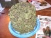 weed_cake_who_wants.jpg