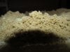 dry ice hash 5.JPG