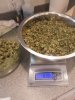 super lemon haze hash making 003.JPG