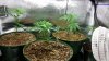 The Whole Family (640x360).jpg