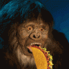 taco.gif