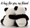 a-hug-for-you-my-friend_236.gif