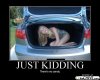 trunk-girl.jpg