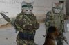 Funny Animals With Guns Shooting_7.jpg