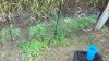 20150623_181250.jpg