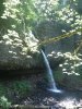 horsetail falls oregon 002.JPG