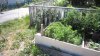 MVI_3106.jpg