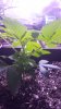 20150601_203040.jpg
